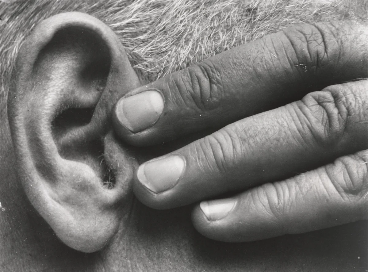 Hand and Ear by Brett Weston, photograph, 1928