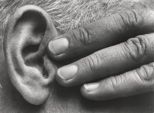 Hand and Ear by Brett Weston, photograph, 1928