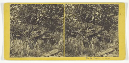 Beside the River, No. 24 from the series "Stereoscopic Views of American and Foreign Scenery" by Whiting Bros., photograph, 1868-1869