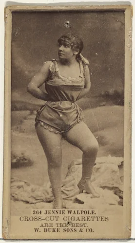 Card Number 364, Jennie Walpole, from the Actors and Actresses series (N145-3) issued by Duke Sons & Co. to promote Cross Cut Cigarettes by W. Duke, Sons & Co., photograph, 1880-1889