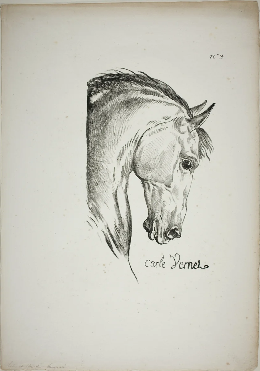 Detail of Horse's Head, Enlarged to Triple Size, Norman Royal Guard, No. 3 by Carle Vernet, print, 1813-1823