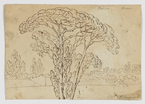 Pinco Rome (Roman Pines) (recto), Foliage sketches (verso) by Richard Cooper II, drawing, 1774-1775