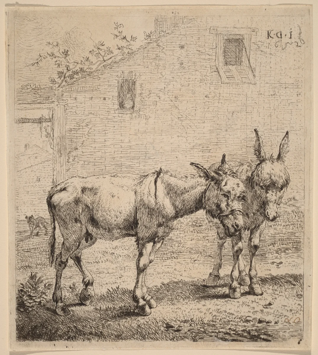 Two Asses by Karel Dujardin, print, 1652