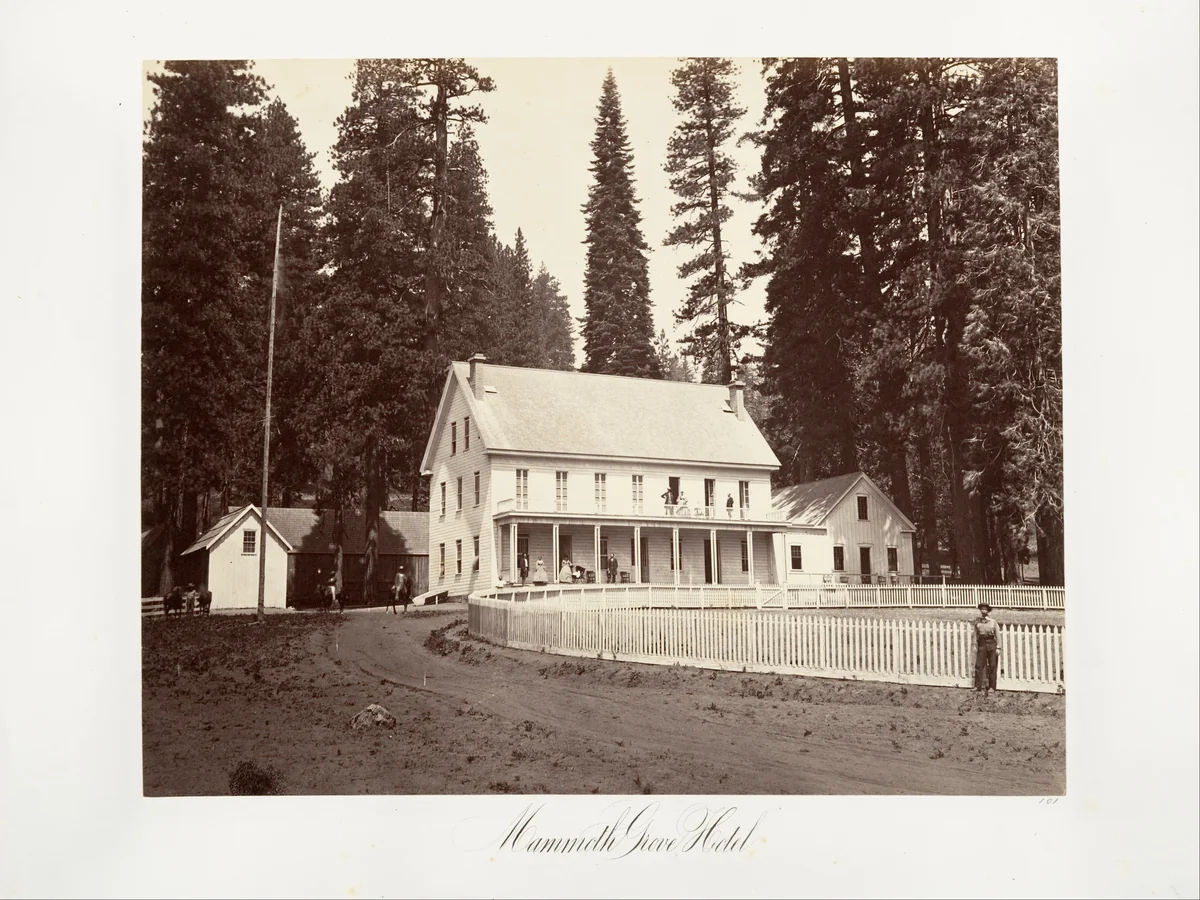 Mammoth Grove Hotel by Carleton E. Watkins, photograph, 1870-1874