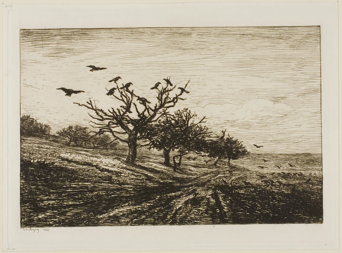 Crows in a Tree by Charles-François Daubigny, print, 1867