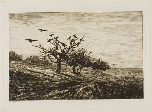 Crows in a Tree by Charles-François Daubigny, print, 1867