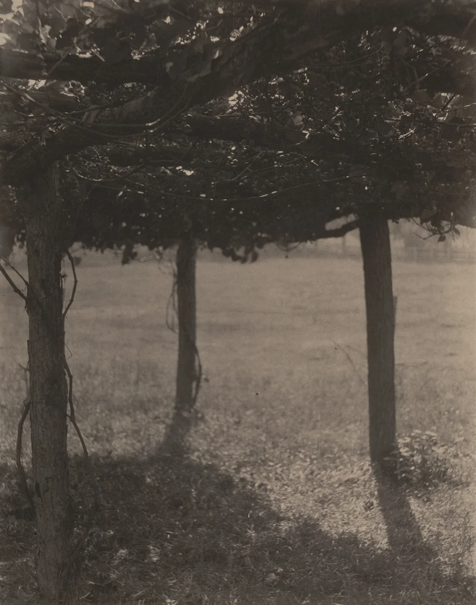 The Arbor by Clarence H. White, photograph, 1905