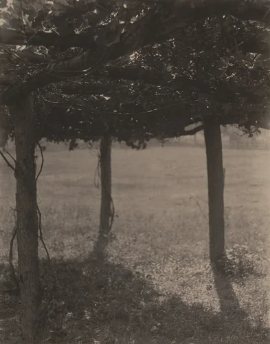 The Arbor by Clarence H. White, photograph, 1905