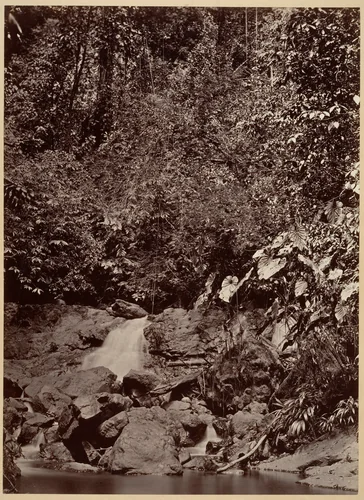 Tropical Scenery, Cascade, Limon River by John Moran, photograph, 1871