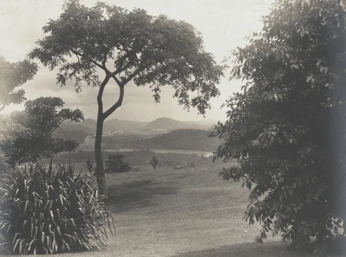 General view looking north from Balboa Heights, C.Z. Miraflores and Pedro Miguel locks in the far distance by Unidentified Photographer, photograph, 1915