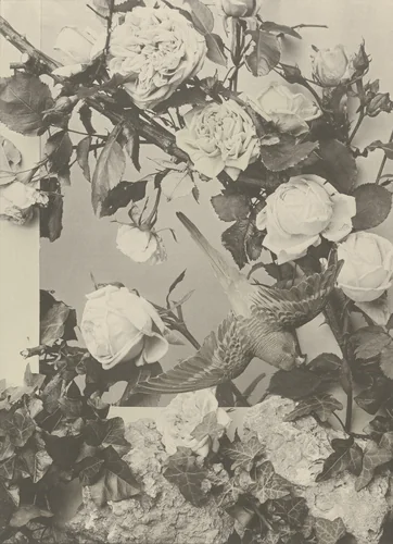 Page from Festons und Dekorative Gruppen by Unidentified Photographer, photograph, 1893