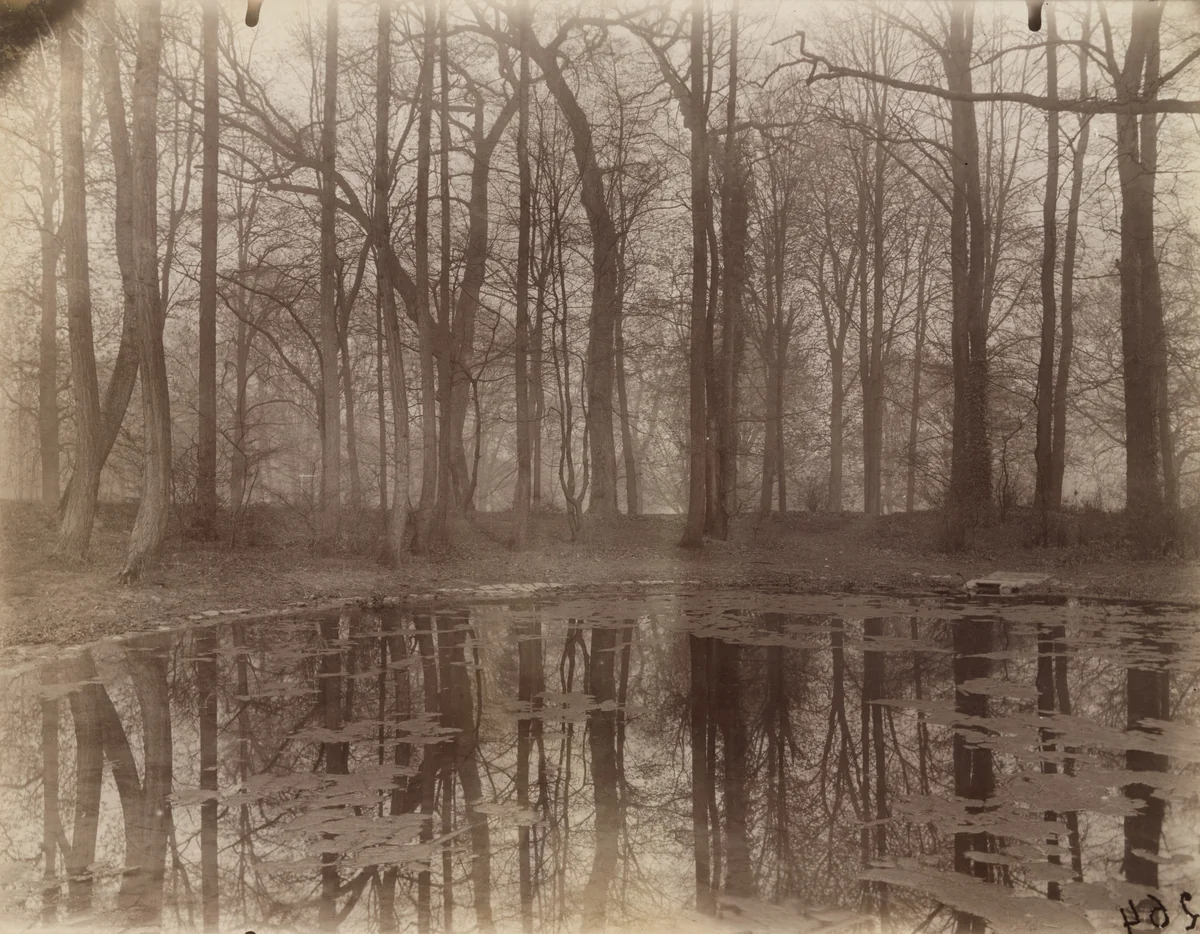 Saint-Cloud, étang by Eugène Atget, photograph, 1926