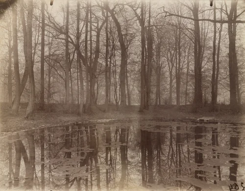 Saint-Cloud, étang by Eugène Atget, photograph, 1926