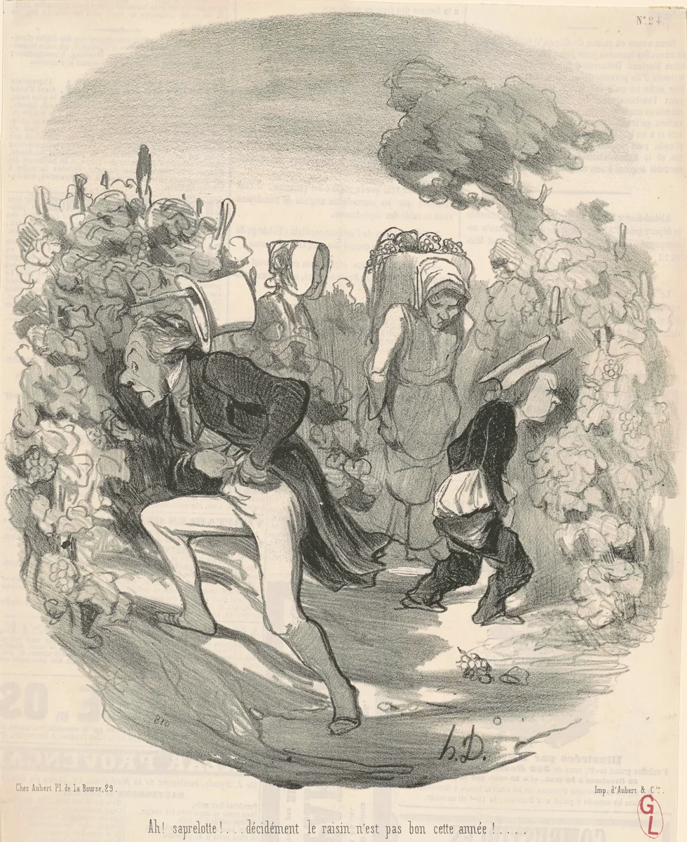 Ah! Saperlotte! ... Le raisin n'est pas bon cette année! ... by Honoré Daumier, print, 1845