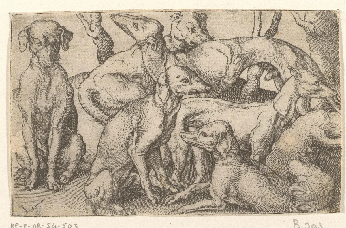 Zes honden by Unknown, print, 1524-1562