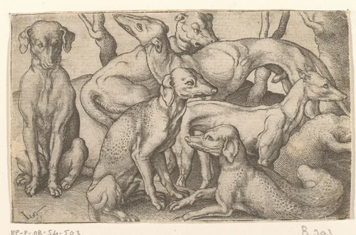 Zes honden by Unknown, print, 1524-1562