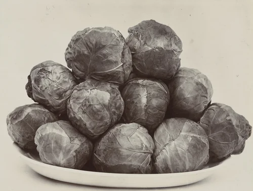 Brussels Sprouts by Charles Harry Jones, photograph, 1900