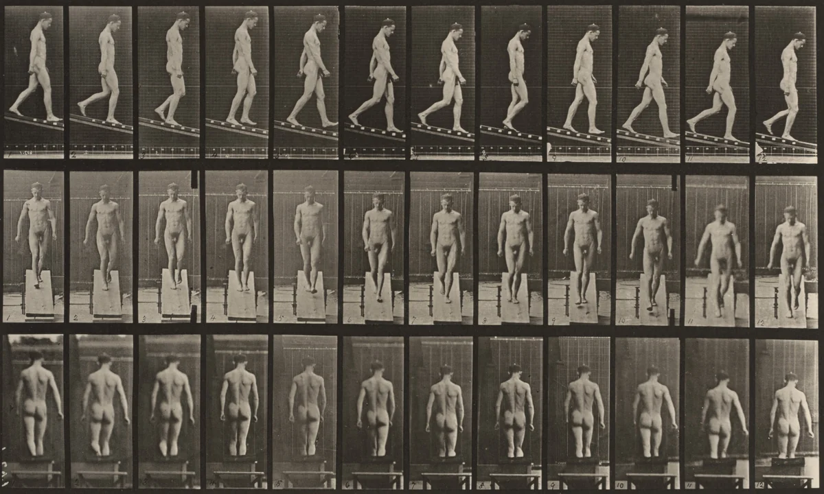 Plate Number 114. Descending an incline by Eadweard Muybridge, photograph, 1887