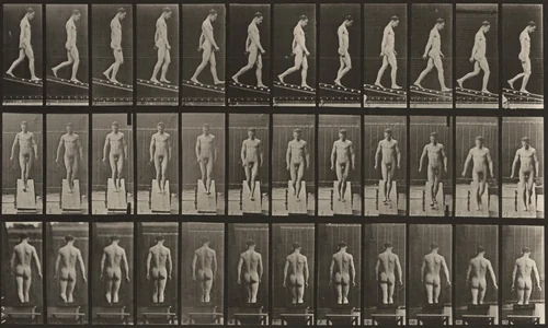 Plate Number 114. Descending an incline by Eadweard Muybridge, photograph, 1887