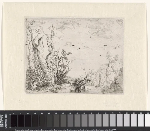 Landschap met dode boom by Willem Basse, print, 1633-1672