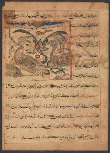"Benefits of the Parts of Vultures" (From the Manafi' al-Haywan of Abu Sai'd Ubayd-Allay Ibn Bakhtishu) (verso) by Unknown, manuscript, 1294-1299