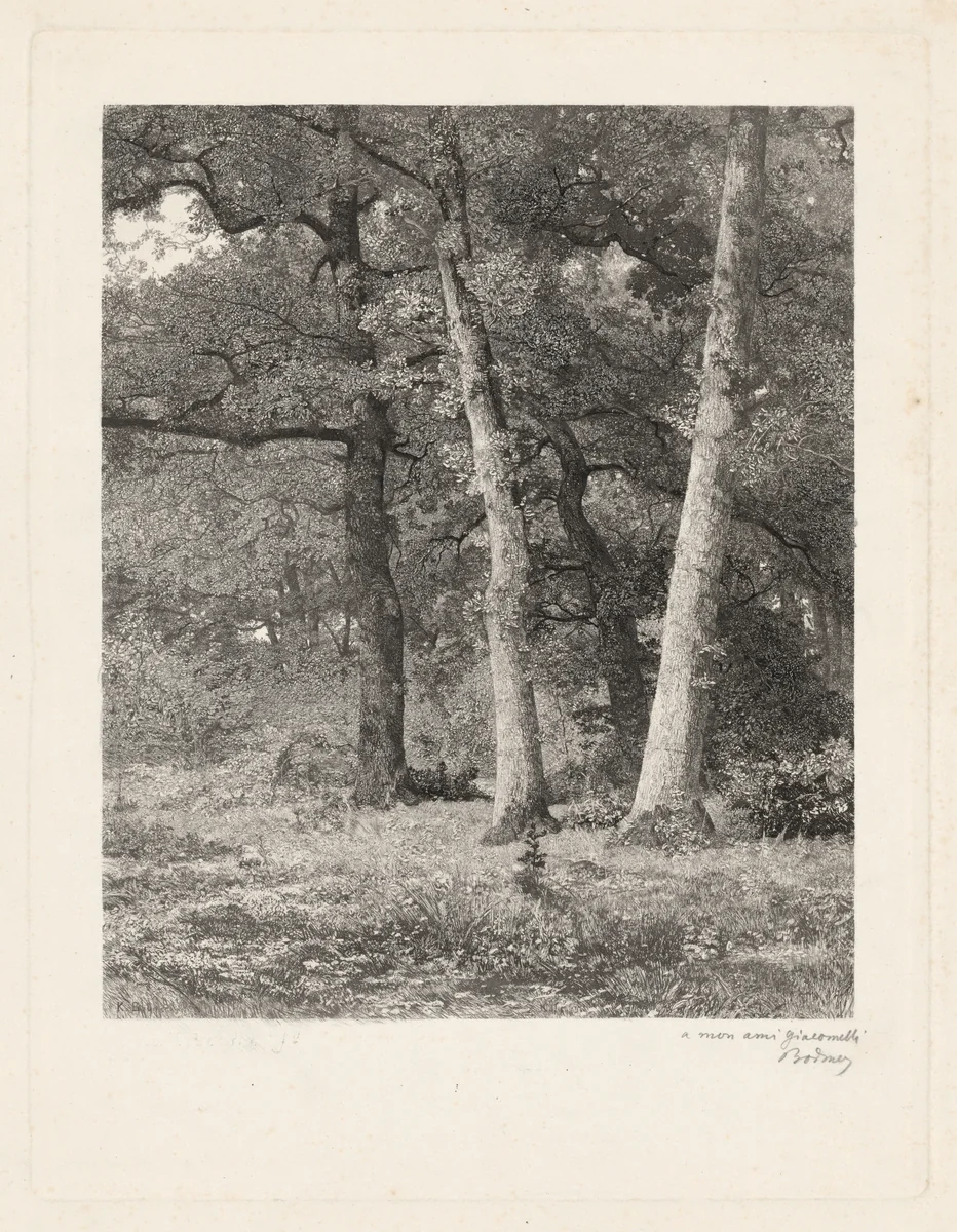 A Forest Clearing by Karl Bodmer, print, 1809-1893