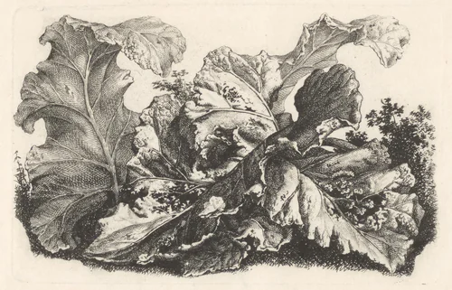 Bladeren van de grote klit by Carl Wilhelm Kolbe, print, 1767-1835
