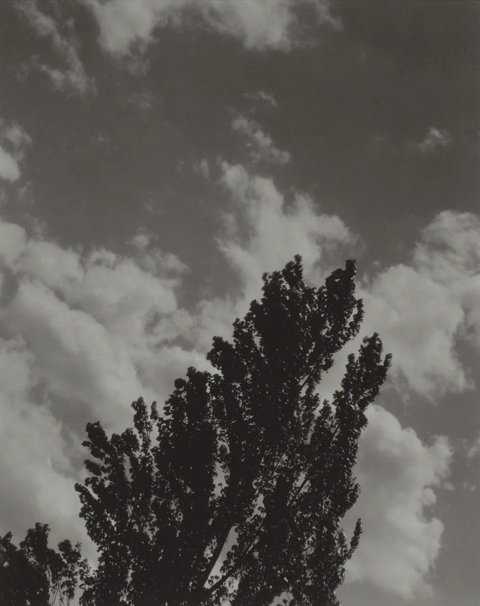Portrait—K.N.R., No. 2 or Songs of the Sky C2 by Alfred Stieglitz, photograph, 1923