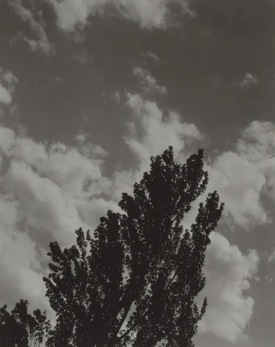 Portrait—K.N.R., No. 2 or Songs of the Sky C2 by Alfred Stieglitz, photograph, 1923