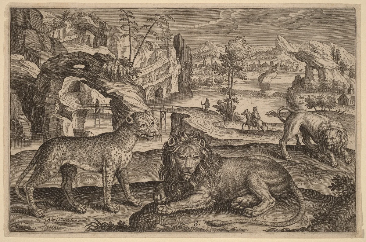 A Leopard and Two Lions by Adriaen Collaert, print, 1592-1602