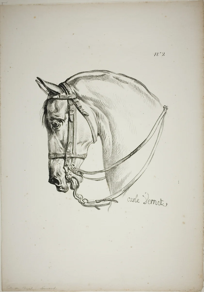 Detail of Horse's Head, Enlarged to Triple Size, Norman Royal Guard, No. 2 by Carle Vernet, print, 1813-1823