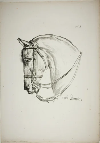 Detail of Horse's Head, Enlarged to Triple Size, Norman Royal Guard, No. 2 by Carle Vernet, print, 1813-1823