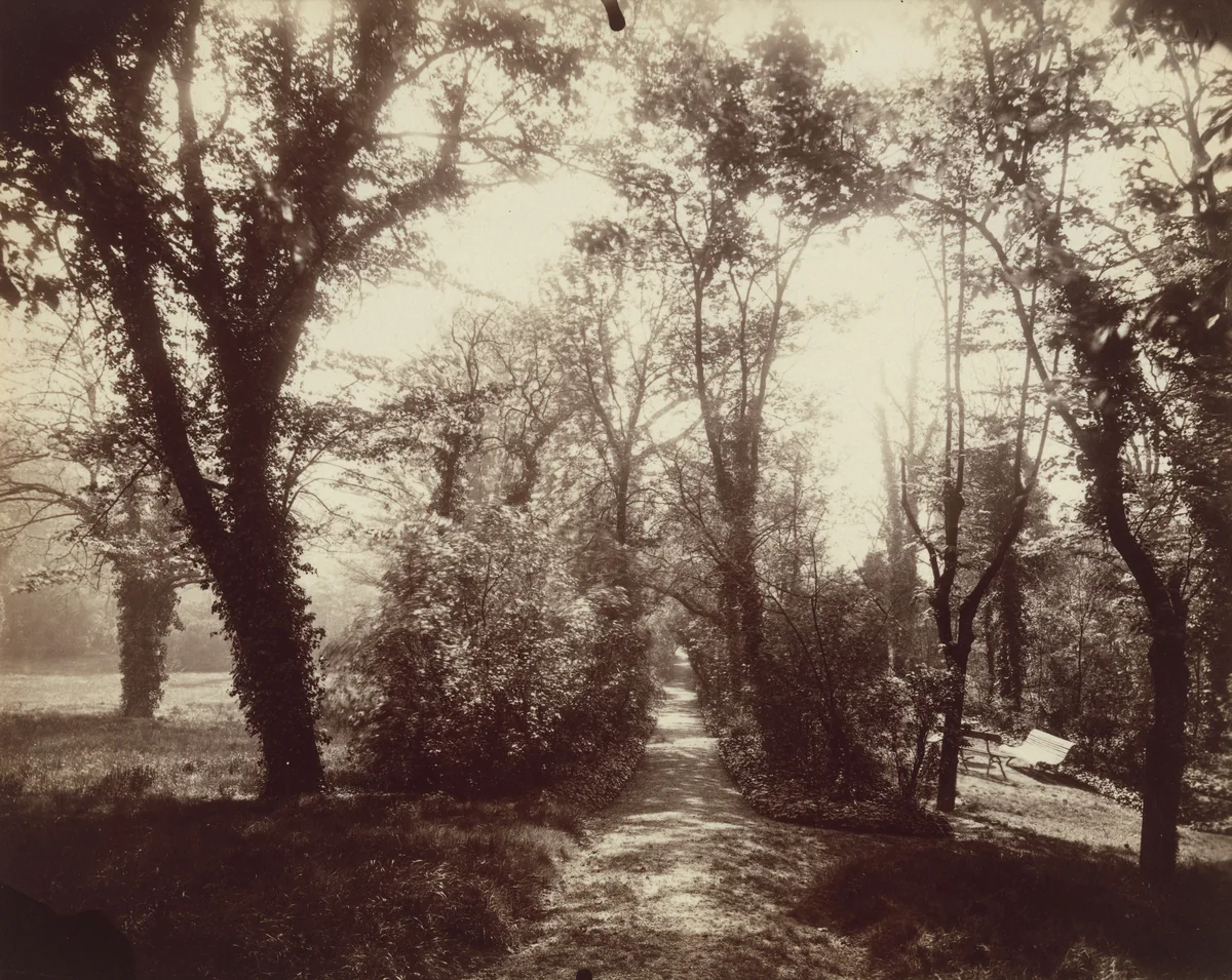 Parc Delessert by Eugène Atget, photograph, 1914