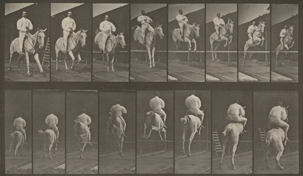 Plate Number 644. "Pandora" jumping a hurdle, saddled, clearing, landing and knocking over the hurdle; rider by Eadweard Muybridge, photograph, 1887