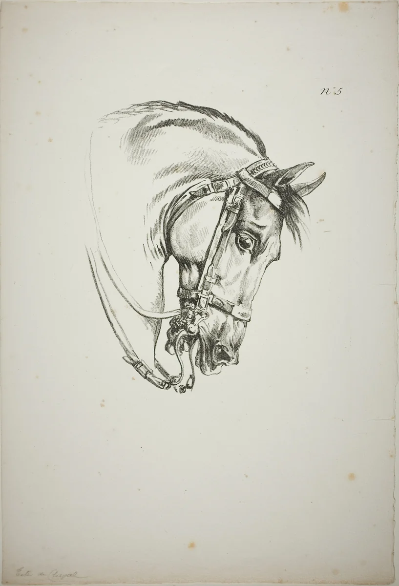 Detail of Horse's Head, Enlarged to Triple Size, Norman Royal Guard, No. 5, First Limoges Horse by Carle Vernet, print, 1813-1823