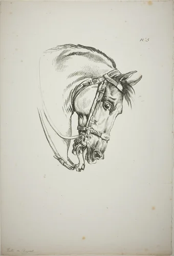Detail of Horse's Head, Enlarged to Triple Size, Norman Royal Guard, No. 5, First Limoges Horse by Carle Vernet, print, 1813-1823