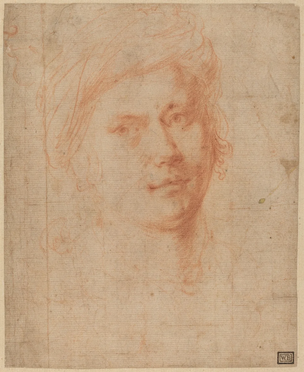 Head of a Youth by Alessandro Allori, drawing, 1535-1607