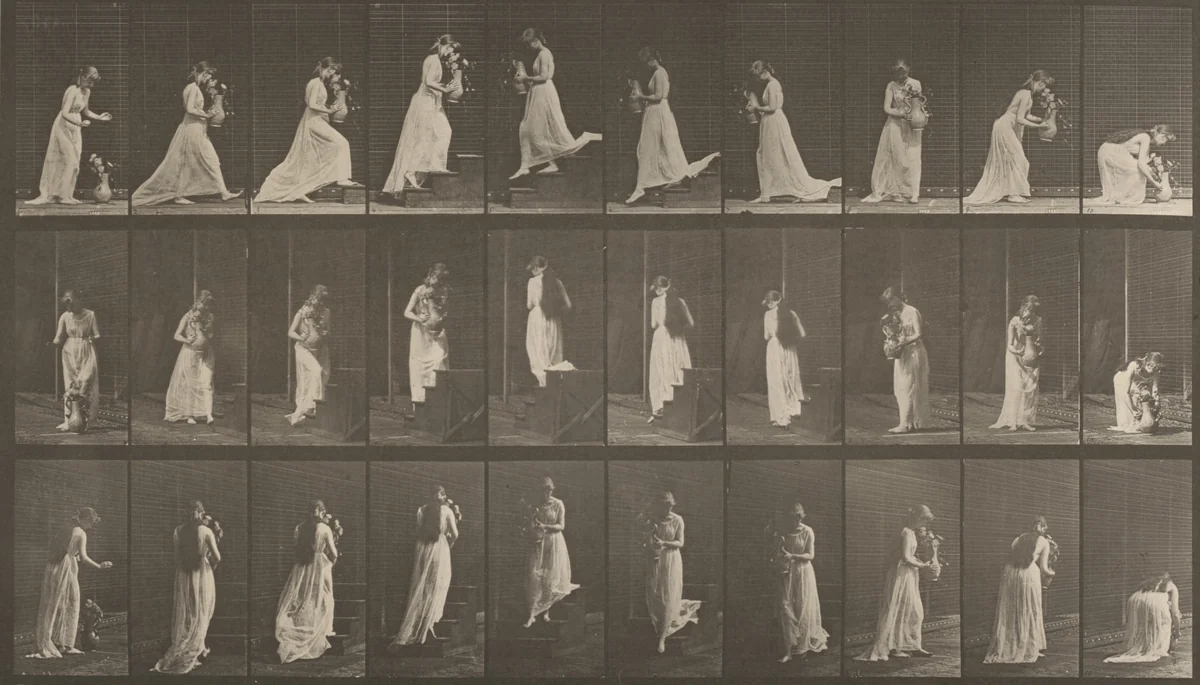Plate Number 515. Ascending and descending stairs by Eadweard Muybridge, photograph, 1887