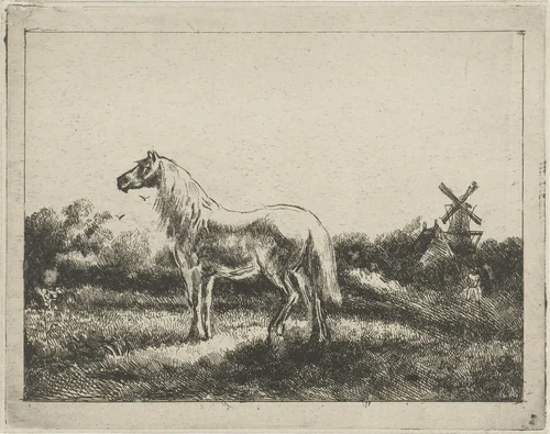 Paard in weide by Gijsbertus Craeyvanger, print, 1820-1882