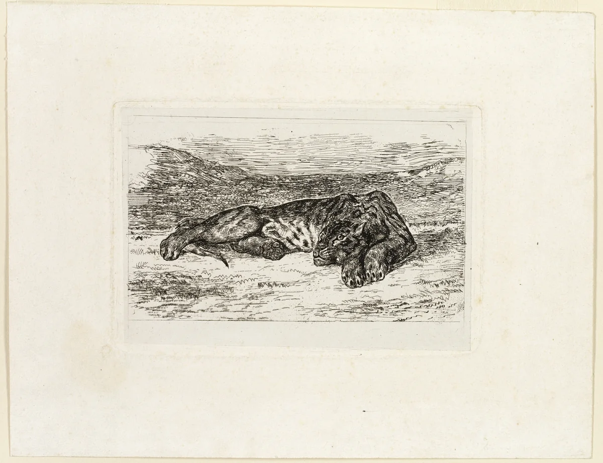 Tiger Resting in the Desert by Eugène Delacroix, print, 1846