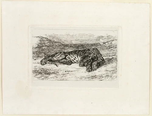 Tiger Resting in the Desert by Eugène Delacroix, print, 1846