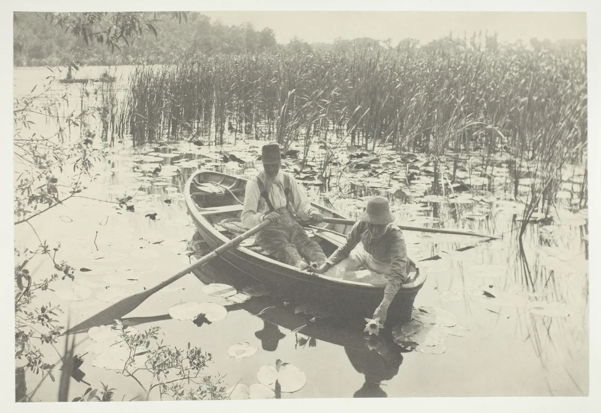 Gathering Water-Lilies by Peter Henry Emerson, photograph, 1886