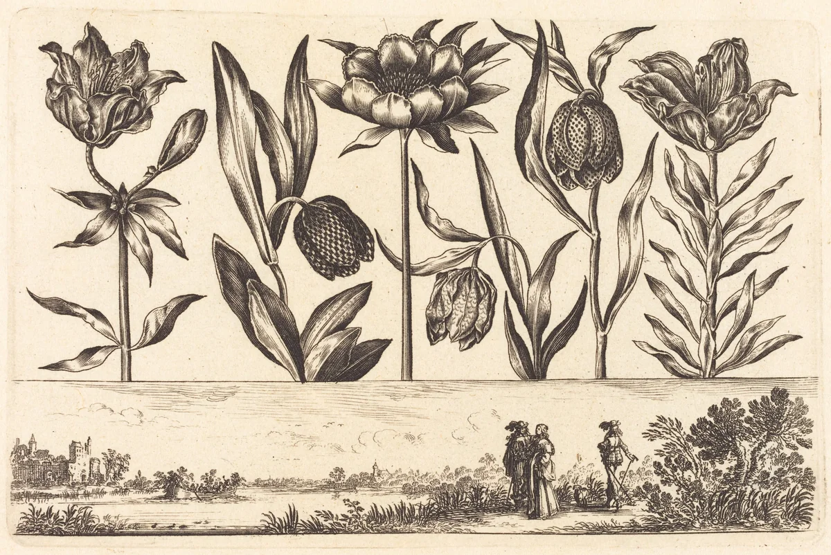 Flower Print no.11 by Nicolas Cochin, print, 1645