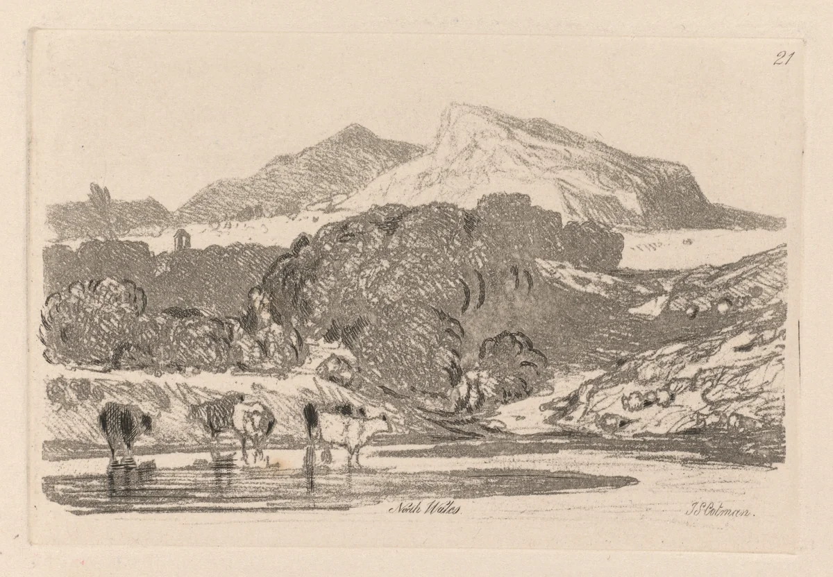 Liber Studiorum: Plate 21, View in North Wales by John Sell Cotman, book, 1838