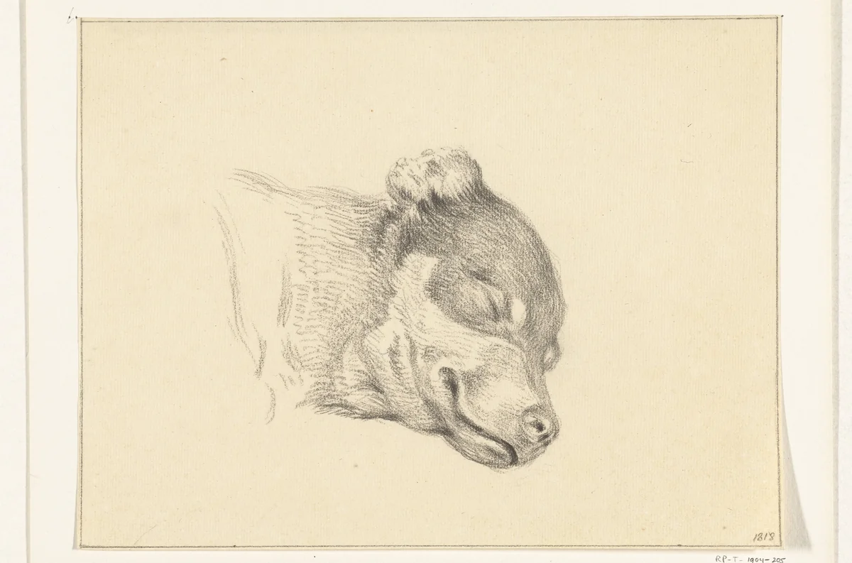 Kop van een slapende hond by Jean Bernard, drawing, 1818