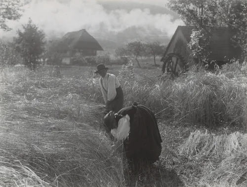 Harvesting, Black Forest by Alfred Stieglitz, photograph, 1894