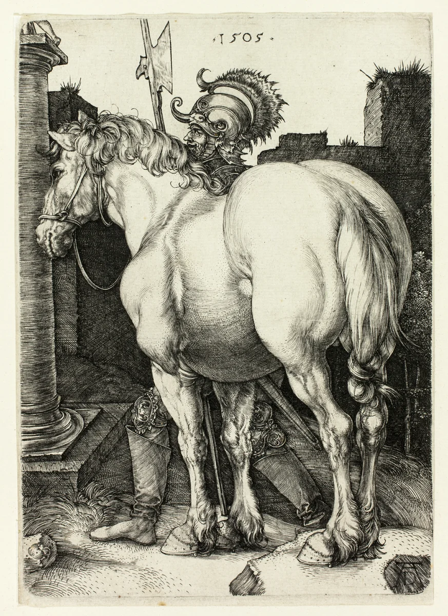 The Large Horse by Albrecht Dürer, print, 1505