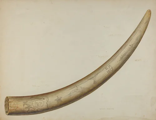 Scrimshaw: Walrus Tusk by Oscar Bluhme, index of american design, 1941