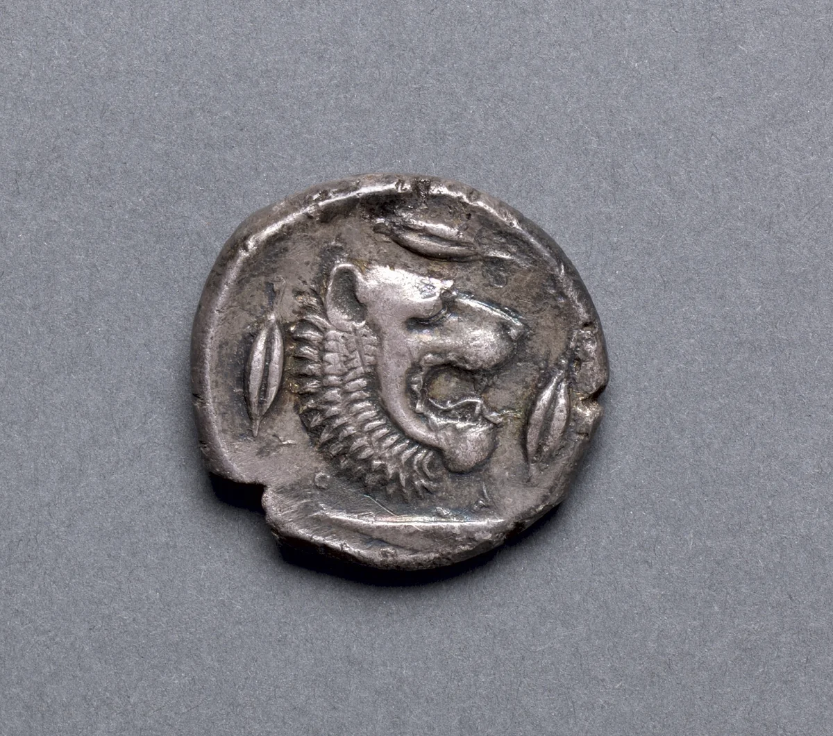 Tetradrachm: Head of Lion, Barley, Riverfish (reverse) by Unknown, metalwork, -466--422