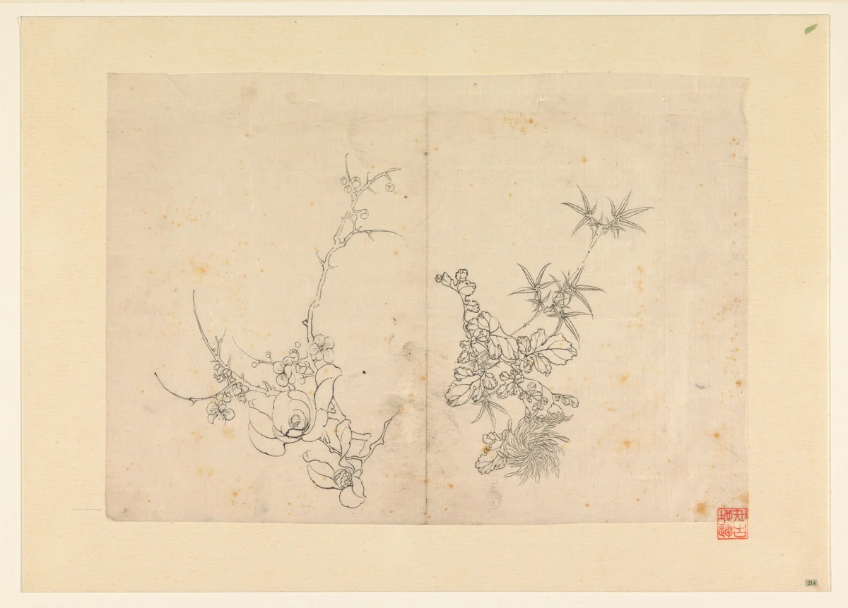 Schetsblad met wilde roos en een chrysant by anonymous, drawing, 1800-1900